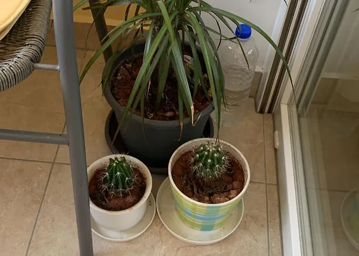 Maraska Park Appartement