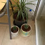 Maraska Park Apartamento