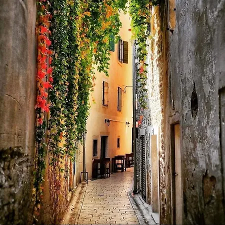 Appartamento Maraska Park